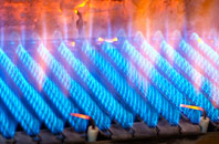 Barlavington gas fired boilers